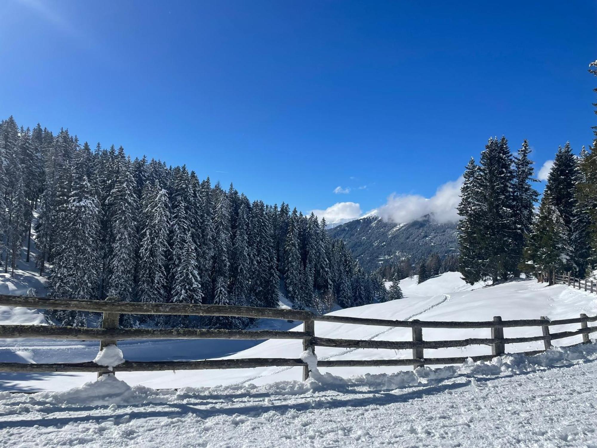 Apartament Haus Schwaighof Arzl im Pitztal Zewnętrze zdjęcie